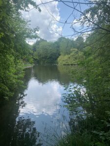 Dublin Over Pt 1: Dublin Over?