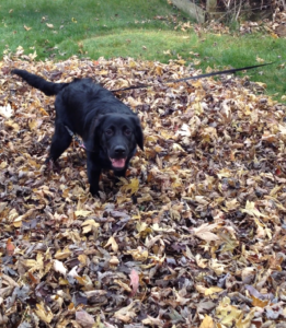 End of Summer, Not End of the World